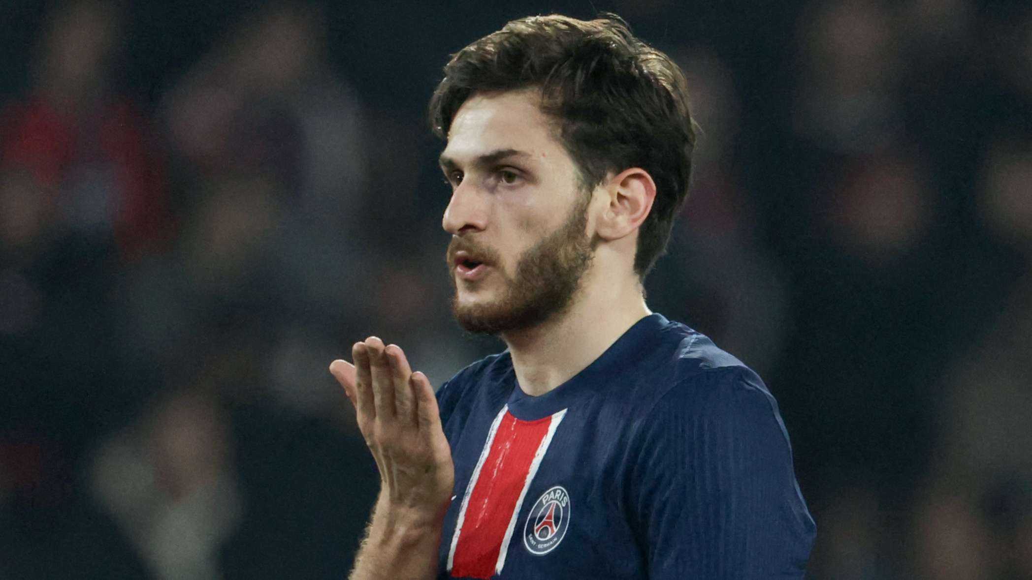 灰熊的稳定 灰熊的稳定